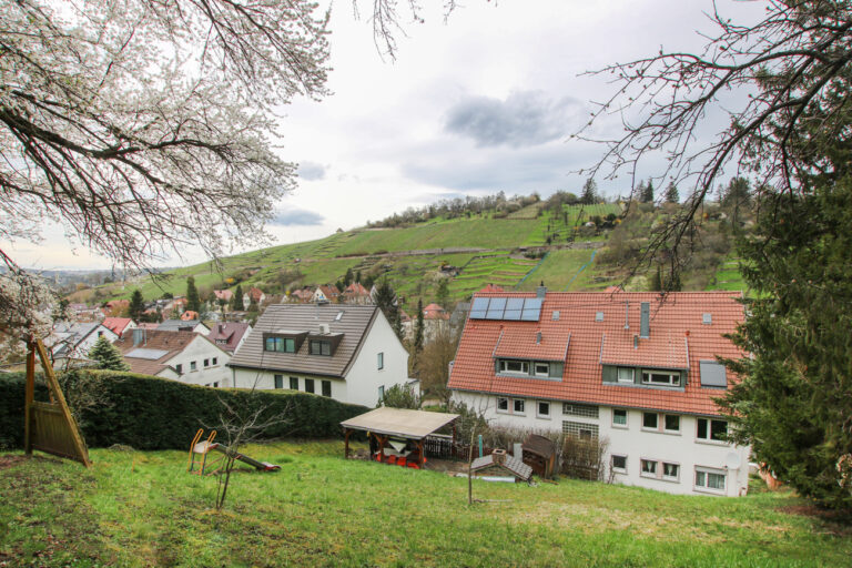 Blick auf die Weinberge